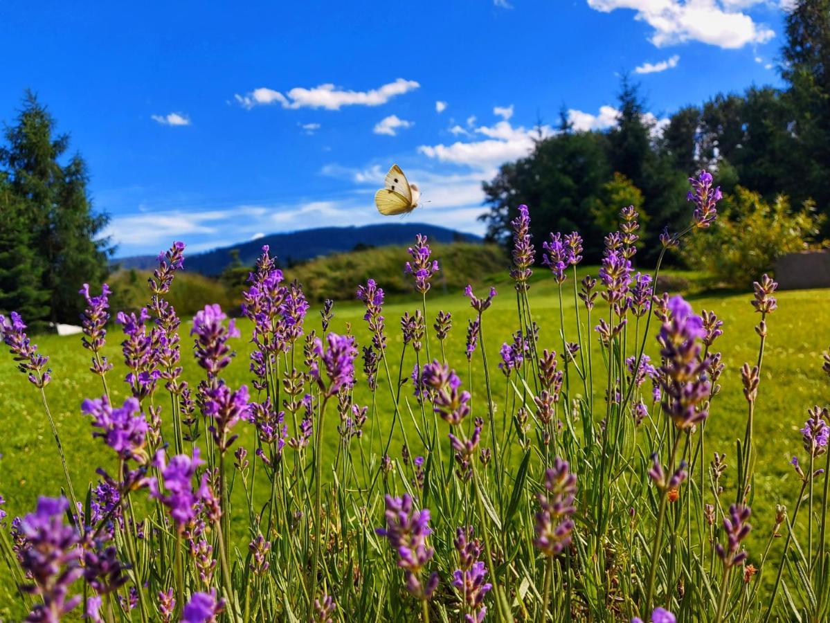 Topolej - Etno Chata Ustroň Exteriér fotografie