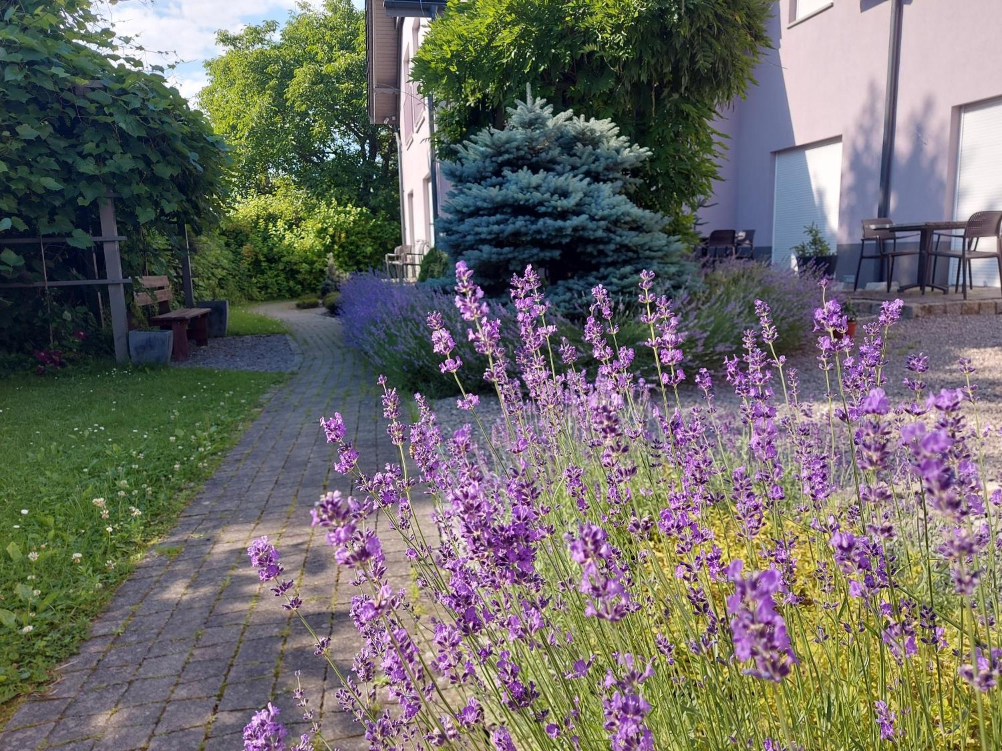 Topolej - Etno Chata Ustroň Exteriér fotografie